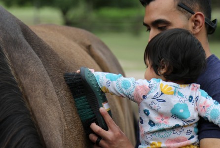 Equine-assisted therapy_wounded warriors