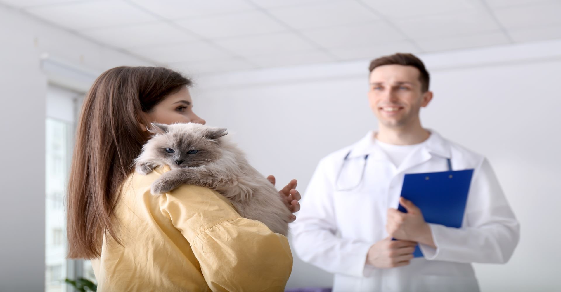 The Cannabis Conversation: What Veterinarians Should Know
